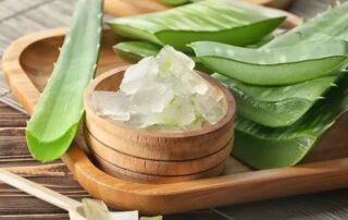 Mademoiselle Julia beauté et bien-être - Connaissez-vous l'aloe vera